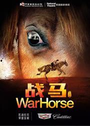 在线观看战马,跨越时空的骏骑传奇 第1张 在线观看战马,跨越时空的骏骑传奇 第1张